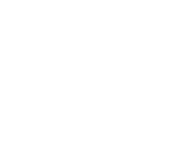 Maison L transparent logo